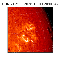 gong - 2026-10-09T20:00:42