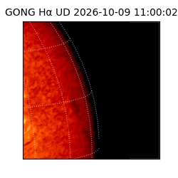 gong - 2026-10-09T11:00:02