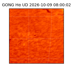 gong - 2026-10-09T08:00:02