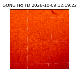 gong - 2026-10-09T12:19:22