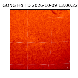 gong - 2026-10-09T13:00:22