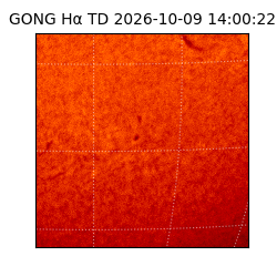 gong - 2026-10-09T14:00:22