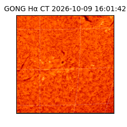 gong - 2026-10-09T16:01:42