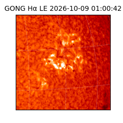 gong - 2026-10-09T01:00:42