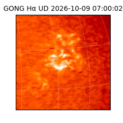 gong - 2026-10-09T07:00:02
