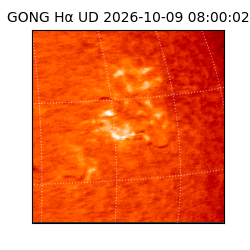 gong - 2026-10-09T08:00:02
