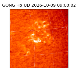 gong - 2026-10-09T09:00:02