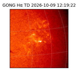 gong - 2026-10-09T12:19:22