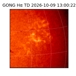 gong - 2026-10-09T13:00:22