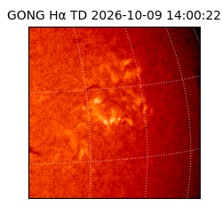 gong - 2026-10-09T14:00:22