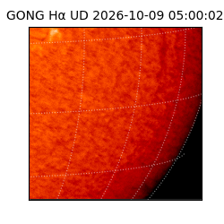 gong - 2026-10-09T05:00:02