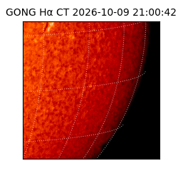 gong - 2026-10-09T21:00:42