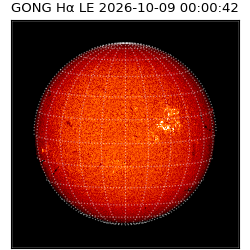 gong - 2026-10-09T00:00:42