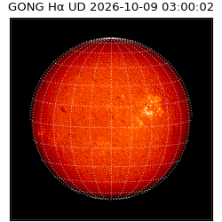 gong - 2026-10-09T03:00:02