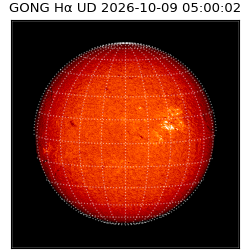 gong - 2026-10-09T05:00:02