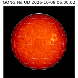gong - 2026-10-09T06:00:02