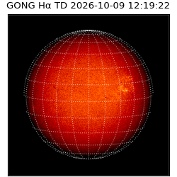 gong - 2026-10-09T12:19:22
