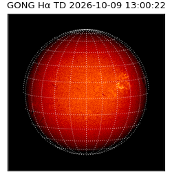 gong - 2026-10-09T13:00:22