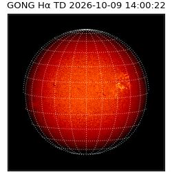 gong - 2026-10-09T14:00:22
