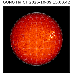 gong - 2026-10-09T15:00:42