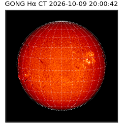gong - 2026-10-09T20:00:42