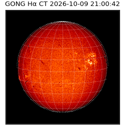 gong - 2026-10-09T21:00:42