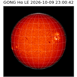 gong - 2026-10-09T23:00:42