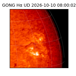 gong - 2026-10-10T08:00:02