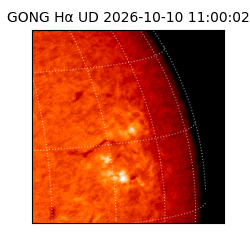 gong - 2026-10-10T11:00:02