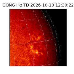 gong - 2026-10-10T12:30:22