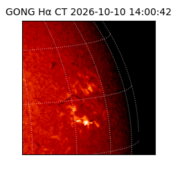 gong - 2026-10-10T14:00:42