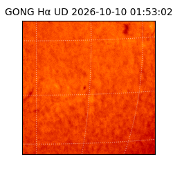 gong - 2026-10-10T01:53:02