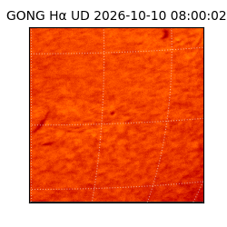 gong - 2026-10-10T08:00:02