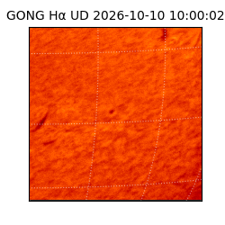 gong - 2026-10-10T10:00:02