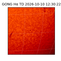 gong - 2026-10-10T12:30:22