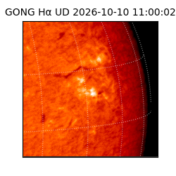 gong - 2026-10-10T11:00:02