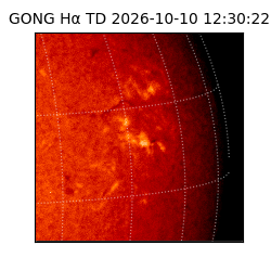 gong - 2026-10-10T12:30:22