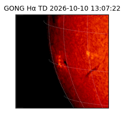 gong - 2026-10-10T13:07:22