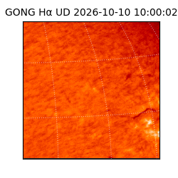 gong - 2026-10-10T10:00:02