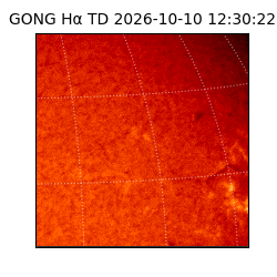 gong - 2026-10-10T12:30:22