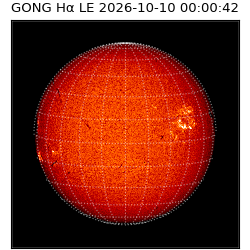 gong - 2026-10-10T00:00:42