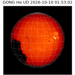 gong - 2026-10-10T01:53:02