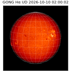 gong - 2026-10-10T02:00:02