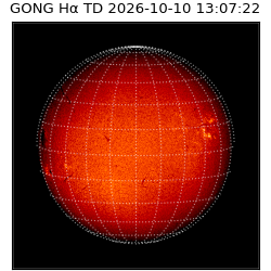 gong - 2026-10-10T13:07:22