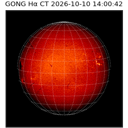 gong - 2026-10-10T14:00:42