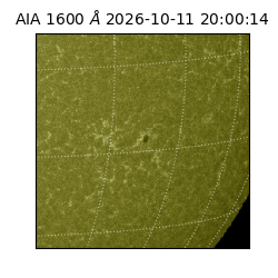 saia - 2026-10-11T20:00:14.122000