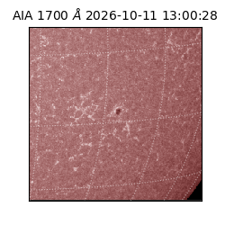 saia - 2026-10-11T13:00:28.717000