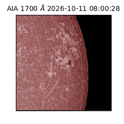 saia - 2026-10-11T08:00:28.716000