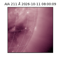 saia - 2026-10-11T08:00:09.622000