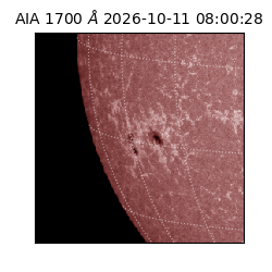 saia - 2026-10-11T08:00:28.716000